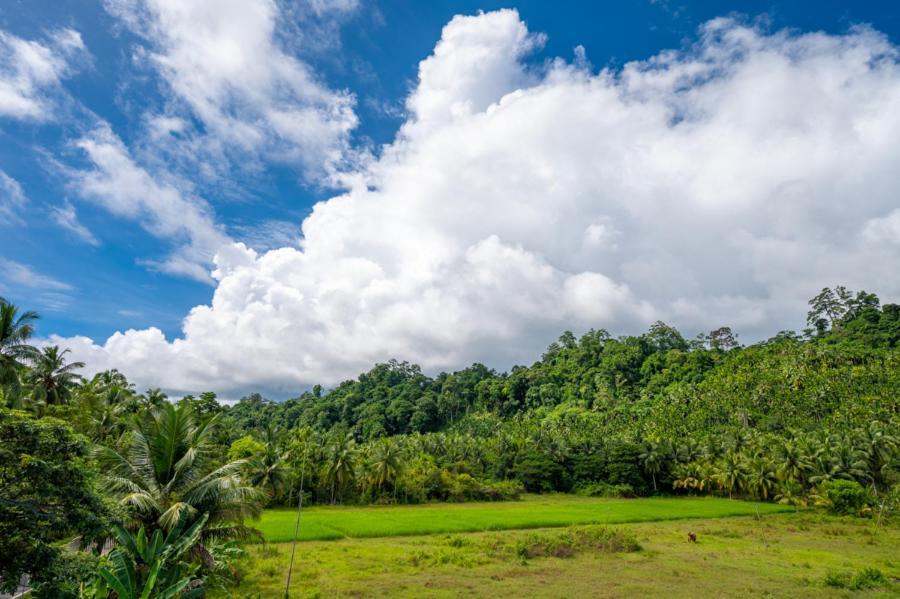 Anibesh Hotel Havelock Island Exterior foto